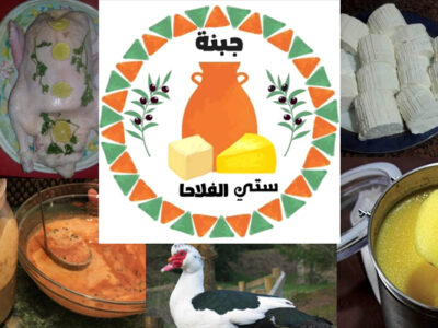 جبنه ستي الفلاحا : تصنيع الجبنة والسمنة والمورتة البيتى - طبيعى 100%